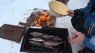 Горячее Копчение Рыбы в Домашних Условиях. Копченый Окунь