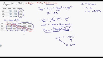 Single Index Model Overview