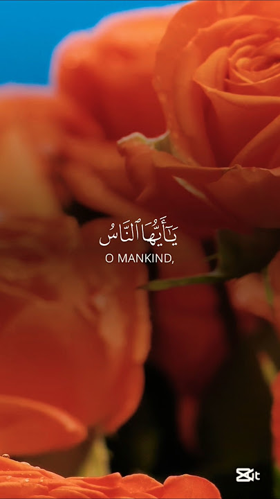 Surah Al Fatir : Ayah - 5/7 beautiful recitation. #quran #desertsafaridxbme #uae #dubai #travel