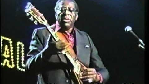 Thumbnail of Albert King I'll Play The Blues For You Japan Blues Carnival 89 .flv
