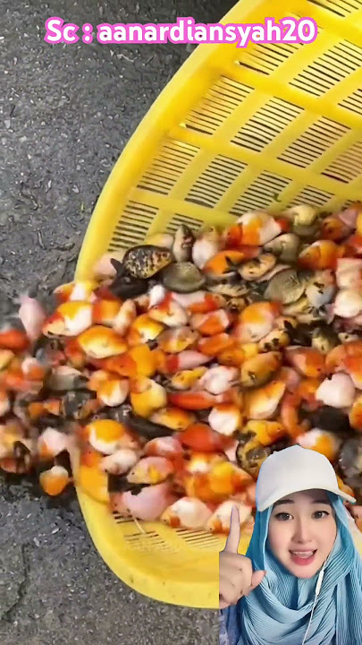 Jangan buang ikan aku ⁉️😩 aanardiansyah20 #shorts #funny #dubbing