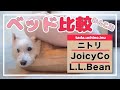 【犬用ベッド比較】ニトリもちもちクッション、JoicyCo、L.L.Bean【うちのわんこは7kgちょっと】