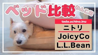 【犬用ベッド比較】ニトリもちもちクッション、JoicyCo、L.L.Bean【うちのわんこは7kgちょっと】