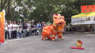 香港功夫表演201611131