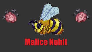 Queen Bee Malice Nohit - Ranged - Terraria Calamity Mod