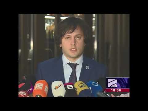 კობახიძე:გერმანული მოდელი\" კონსტიტუციას არ შეესაბამება