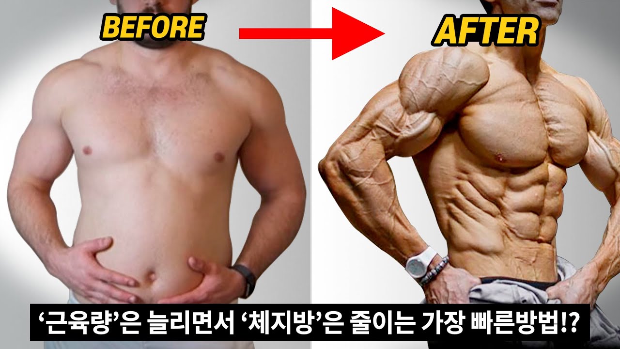  New  '근육량'은 늘리면서 '체지방'은 줄이는 가장 빠른 방법?!