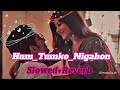 Hum_Tumko_Nigahon mein || (slowed+Reverb) Salman Khan Hind songs / lofi song