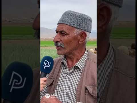 اگر بیبیند میشناسد اما به نام نی