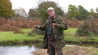 Restoring the New Forest's wetlands with Simon King