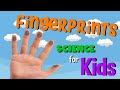 Fingerprint Learning Quiz