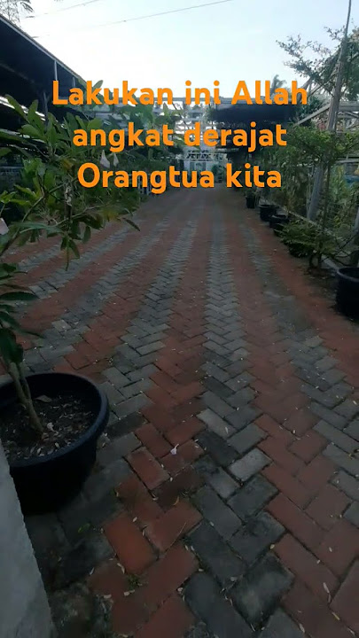 lakukan ini Allah angkat derajat Orangtu kita #dosa #ustadzadihidayat  #motivasidiri #pendosahijrah