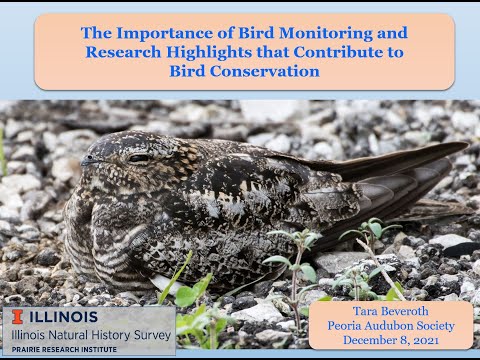 Importance of Bird Monitoring; Bird Conservation and Project MOON