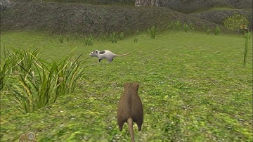 Mouse simulator, building a nest, fighting a spider