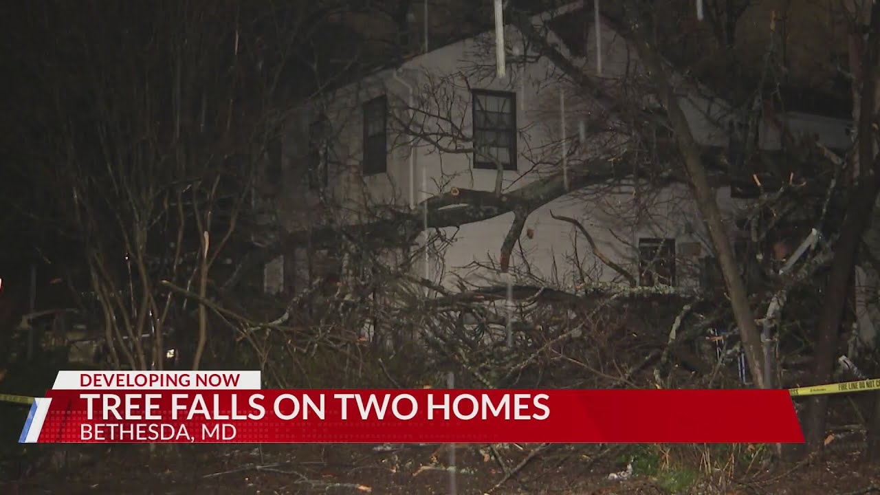 Tree falls on two homes in Montgomery County - YouTube