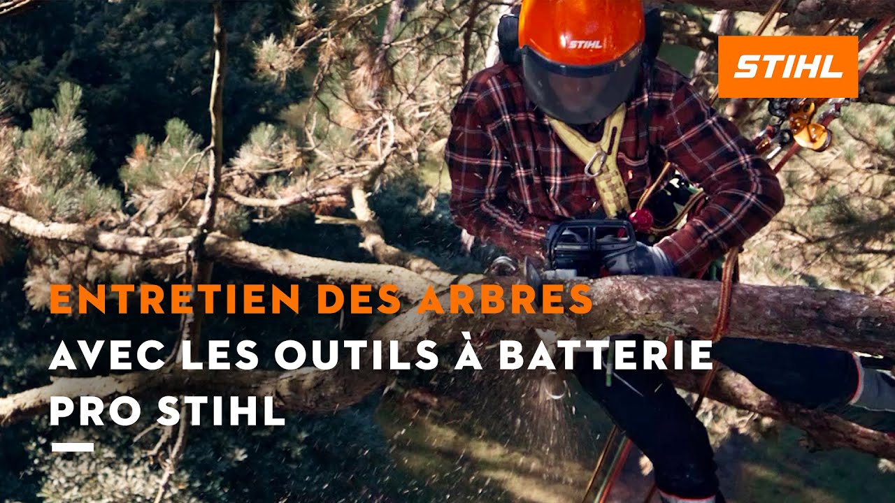 Outils à batterie PRO STIHL pour l’entretien de tous les arbres | STIHL