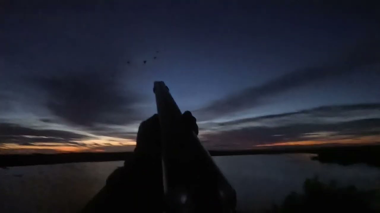 Inland Wigeon Flight - Wildfowling  - The ducks piled in!