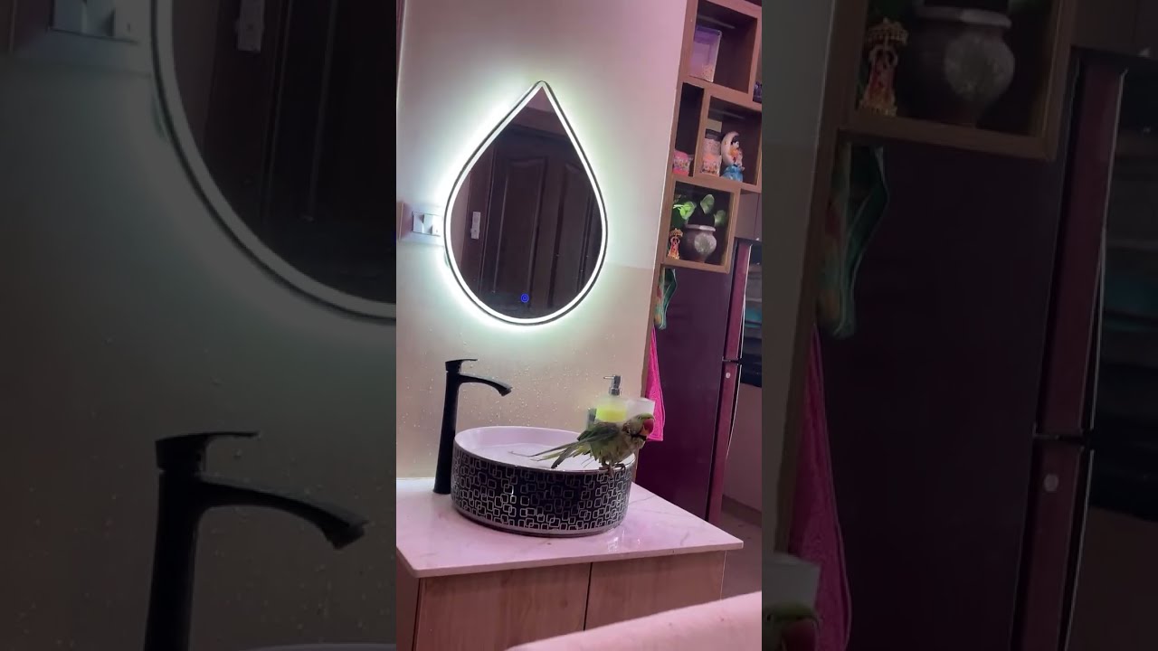 Mithu ka nahane ka style 🫡