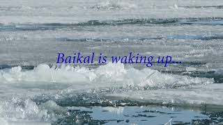 Baikal is waking up (Байкал просыпается)