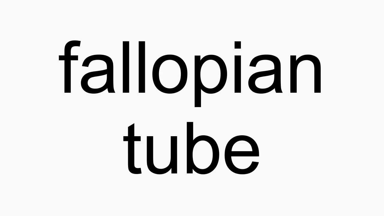How to pronounce fallopian tube YouTube