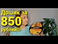 ЧУДО ДОШИК! / Необычная лапша быстрого приготовления 🍜