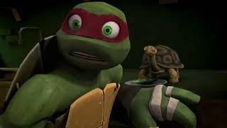 TMNT Aww are you talking to your pet turtle