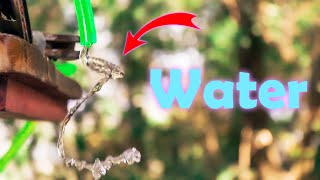 Amazing sound vs water effect.You should definitely try.24hz+24fps