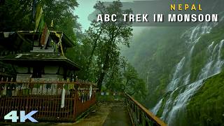 Information The Annapurna Trail in Monsoon Rain 🌧️🏔️ | Himalaya to Dovan | 4K Rain Walk - PART 1 News