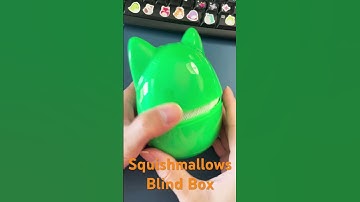 #cute #squishmallows #mysterysquad #squishmallowsquad #blindbox