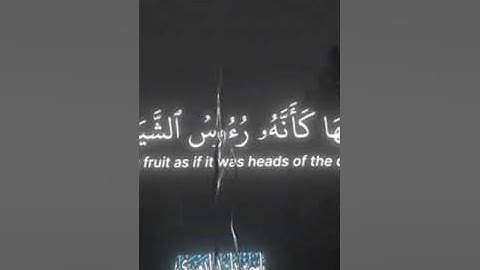 تلاوة خاشعة وجميلة للشيخ القارئ: ياسر الدوسري ﴿أذلك خير نزلا أم شجرة الزقوم﴾_