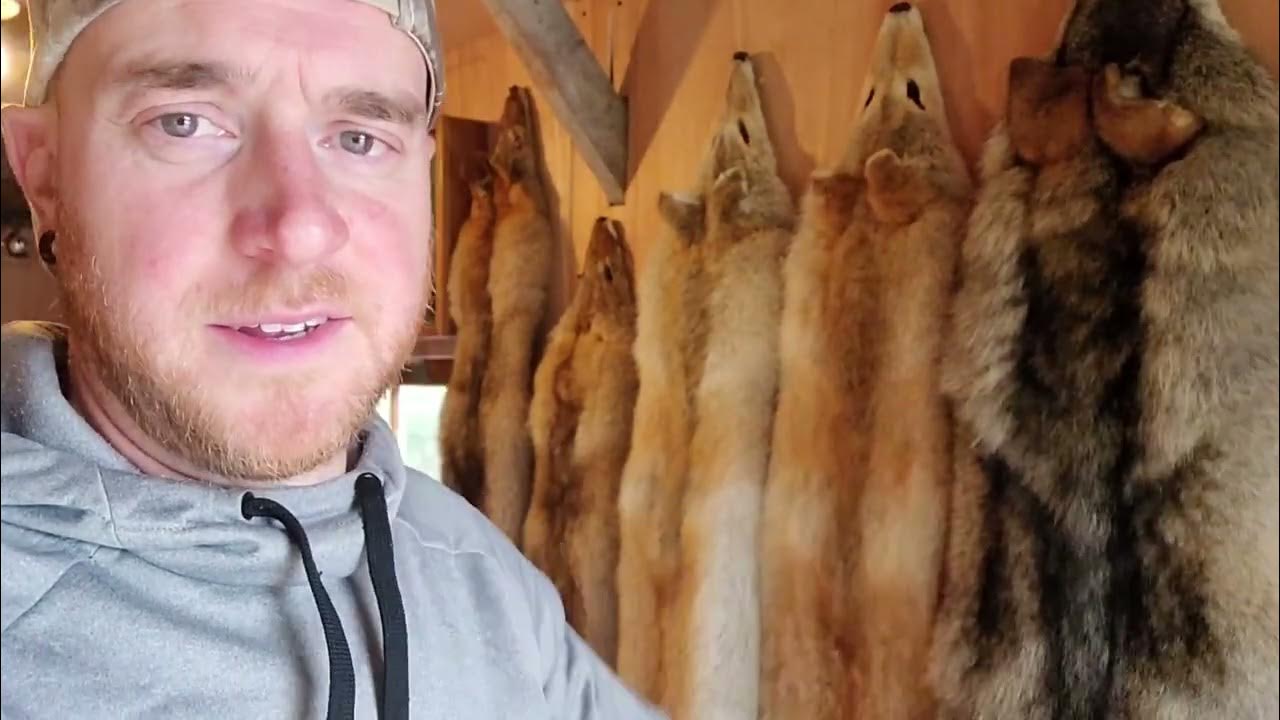 How to Alum Tan a Hide YouTube