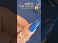 Dark blue nail paint 💙 #viral #shorts #shortvideo #viralvideos #nails #yt #ytshorts #shortsfeed