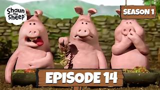 'Scrumping' | Season 1 Episode 14