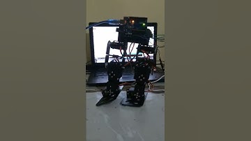 biped walking robot - Project assignment for Skyfi Labs online course by- vinayaka r murthy