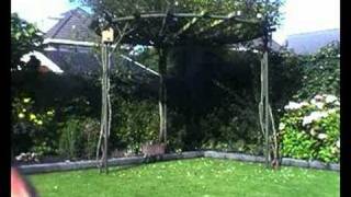 X Men 2 Vanish In After Effects