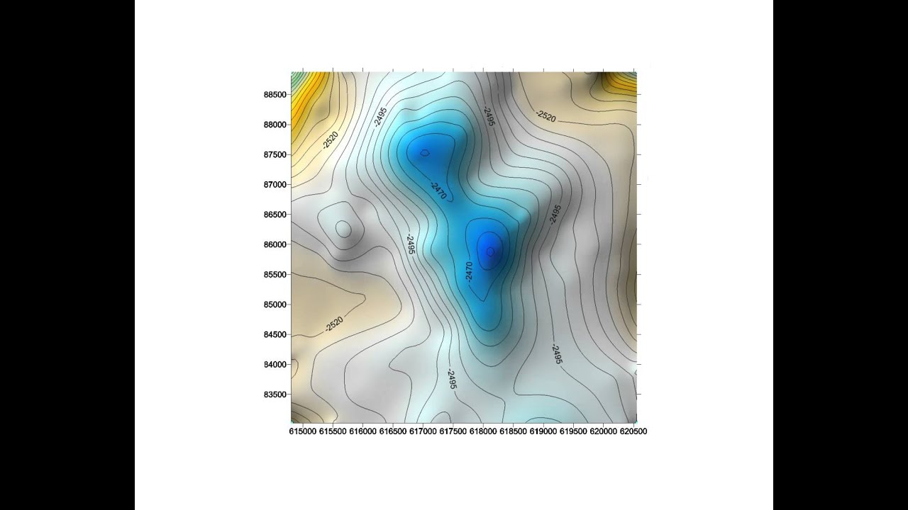 Surfer license карта