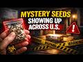 DESTROY: Mystery Seed Packages From China Showing Up in Mailboxes 