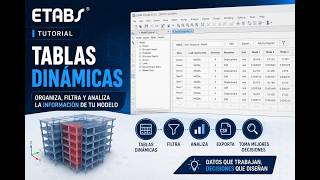 Cómo Usar Bases de datos Interactivas en ETABS (Interactive Database Etabs)