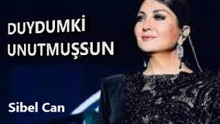 Sibel Can & Duydumki Unutmuşsun Resimi