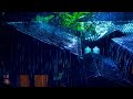 Peaceful Night Rain on Tin Roof | Frogs &amp; Crickets Sounds for Meditation and Relaxation