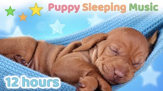 ☆ 12 HOURS ☆ Puppy Sleeping NO ADS 🐶 ♫ SLEEP for Dogs ☆ Dog Sleep ☆ Dog
