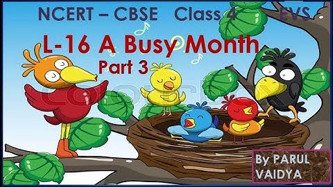 L - 16 A Busy Month | Part3 | Different types of Bird