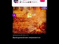 Любимая моя (Быков )#starmaker #liberty