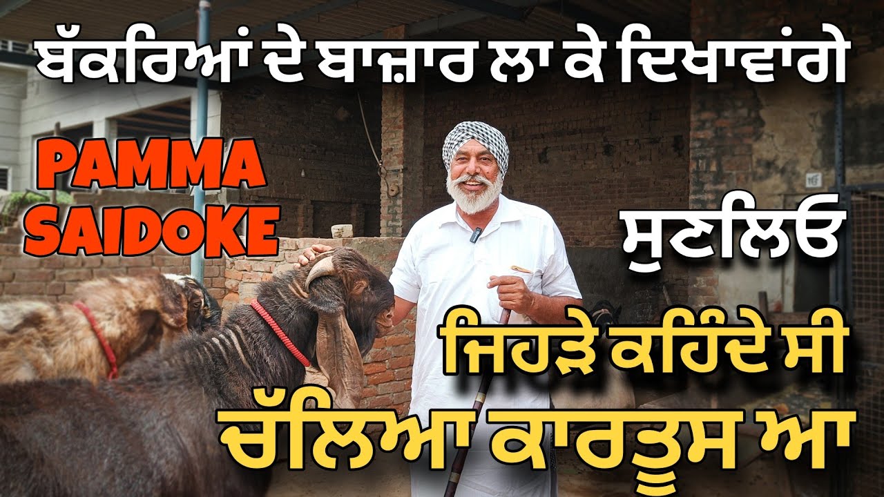 ਜਿਹੜੇ ਕਹਿੰਦੇ ਸੀ ਚੱਲਿਆ ਕਾਰਤੂਸ ਆ,ਹੁਣ ਦੇਖਦੇ ਜਾਇਓ। ਬੱਕਰਿਆਂ ਦੇ ਬਾਜ਼ਾਰ ਲਾ ਦਿਆਂਗੇ_ਪੰਮਾ ਸੈਦੋਕੇ 