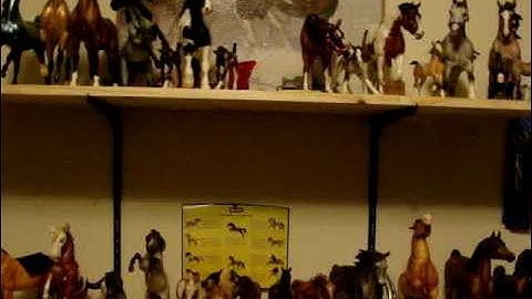 First Official Breyer Video Part1