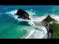 WILD VIETNAM | The Secrets of Survival in the Tropical Rainforest | Nature Animal Documentary