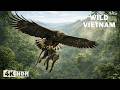 WILD VIETNAM | The Secrets of Survival in the Tropical Rainforest | Nature Animal Documentary