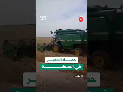 مزارعون يباشرون حصاد محصول الشعير في قرية دعيبيل