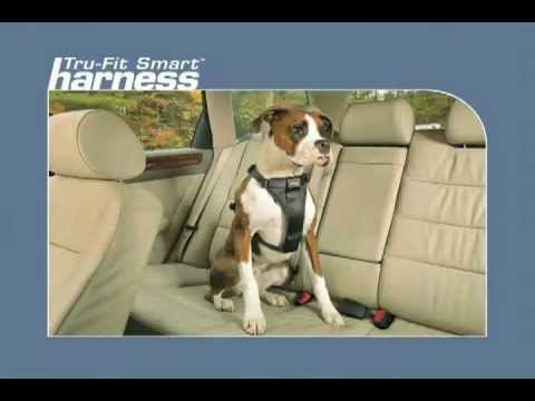 The Kurgo Tru-Fit Smart Dog Harness - Car restraint harness for your dog