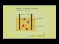 Общая и неорганическая химия. Электролиз солей и коррозия металлов